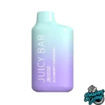 Blueberry Raspberry - Juicy Bar JB5000
