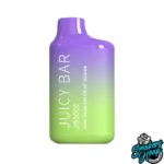 Kiwi Passion Fruit Guava - Juicy Bar JB5000