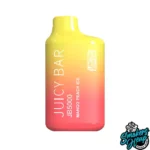 Mango Peach Ice - Juicy Bar JB5000
