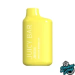 Mexican Mango Ice - Juicy Bar JB5000