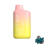 Peach Mango Watermelon - Juicy Bar JB5000