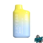 Pineapple Coconut Ice - Juicy Bar JB5000