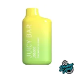 Pineapple Slushy - Juicy Bar JB5000