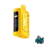 BANANA COCONUT - RAZ TN 9000 PUFFS DISPOSABLE VAPE