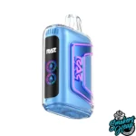BLUEBERRY WATERMELON - RAZ TN 9000 PUFFS DISPOSABLE VAPE
