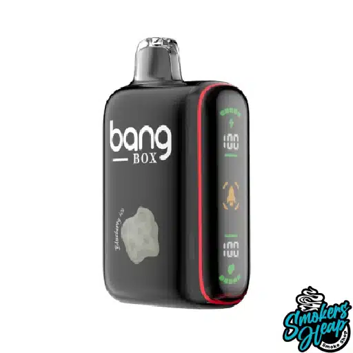 Blueberry Ice - Bang Box 18000 Puffs