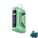 MIAMI MINT - RAZ TN 9000 PUFFS DISPOSABLE VAPE