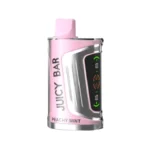 Buy Peachy Mint Juicy Bar 25000 Puffs - USA