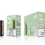 Strawberry Kiwi Vape - Bang Box 18000 Puffs | Smokers Heap