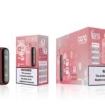 Buy Watermelon Ice Bang Box 18000 Puffs - USA