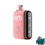 Watermelon Ice - Bang Box 18000 Puffs