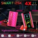 Buy Watermelon Ice Onee Stick Smart 25000 Puffs - USA