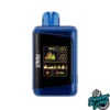 Blue Raz Ice - Raz DC25000 Puffs Disposable Vape