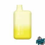 Pineapple coconut Ice - BC5000