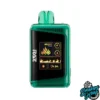 Wintergreen - Raz DC25000 Puffs Disposable Vape