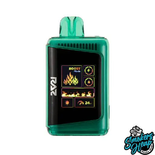 Wintergreen - Raz DC25000 Puffs Disposable Vape