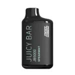 Buy Spearmint Juicy Bar JB5000 Black Edition - USA