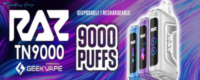 Raz Vape 9000 puffs