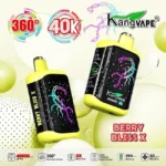 Berry Bliss - Kangvape HEAVEN X 40K