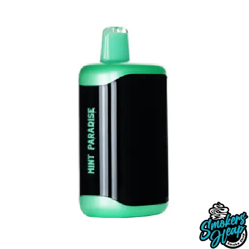 Buy Mint Paradise Kangvape HEAVEN X 40K Vape | USA