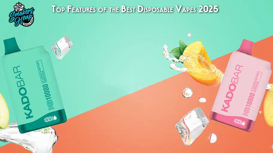 Top Features of the Best Disposable Vapes 2025 1