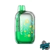 Buy Wintergreen Vape Foger Bit 35000 Puffs Disposable | USA