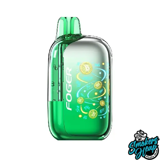 Buy Wintergreen Vape Foger Bit 35000 Puffs Disposable | USA