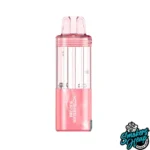 Frozen Watermelon - Foger Switch Pro 30K Puffs - 5% NIC - Disposable Pod